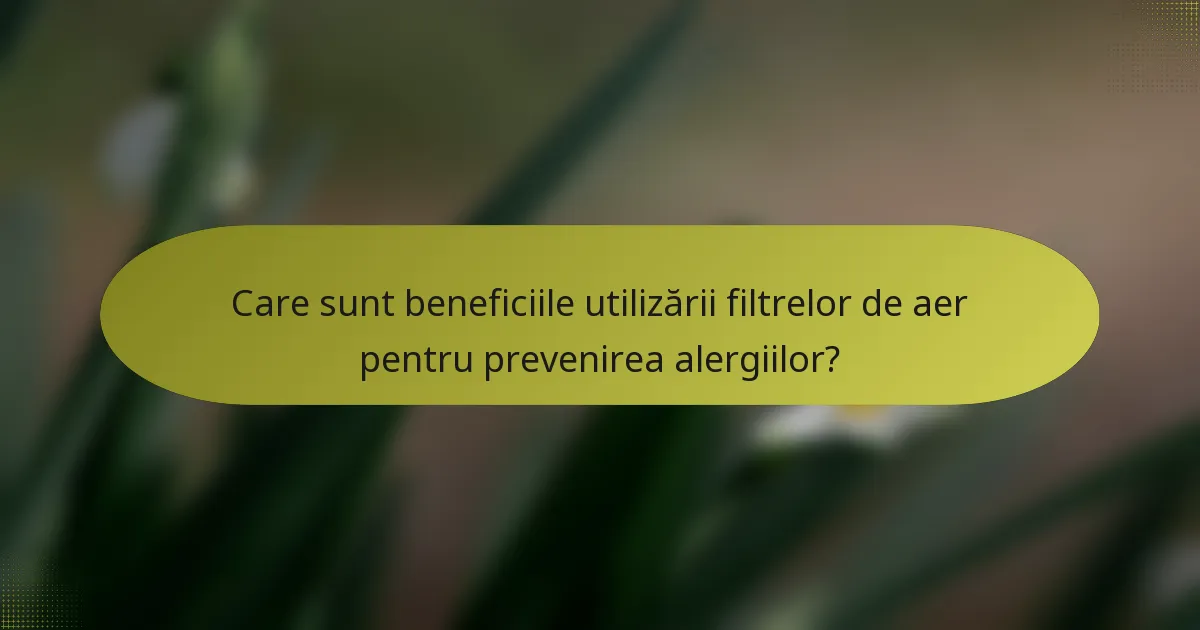 Care sunt beneficiile utilizării filtrelor de aer pentru prevenirea alergiilor?