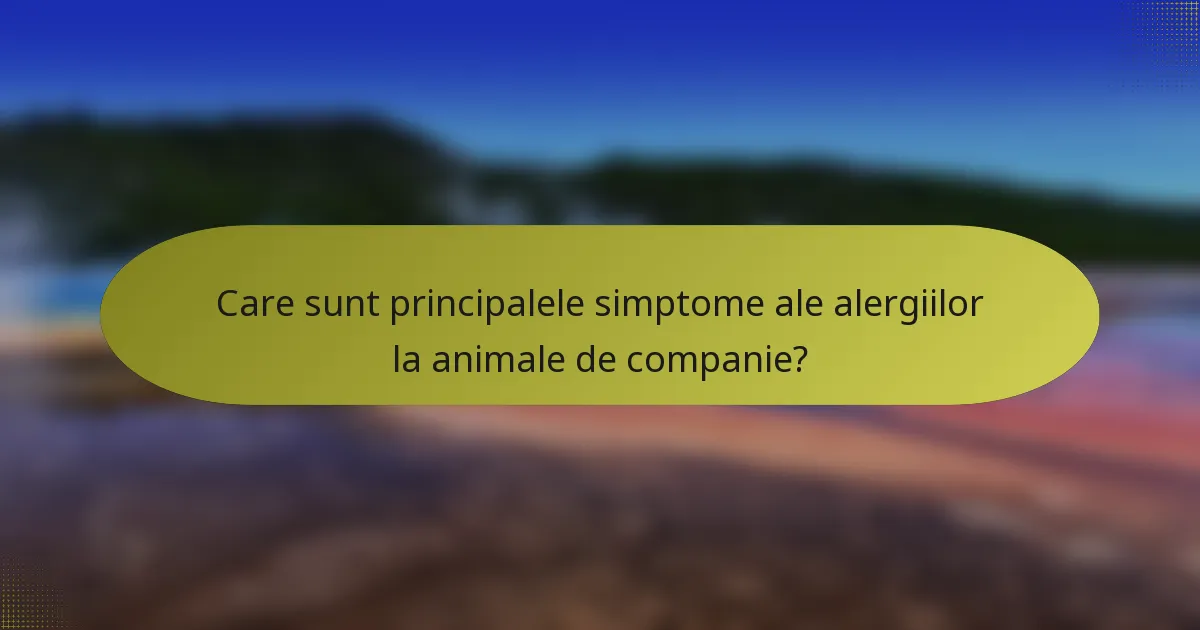 Care sunt principalele simptome ale alergiilor la animale de companie?