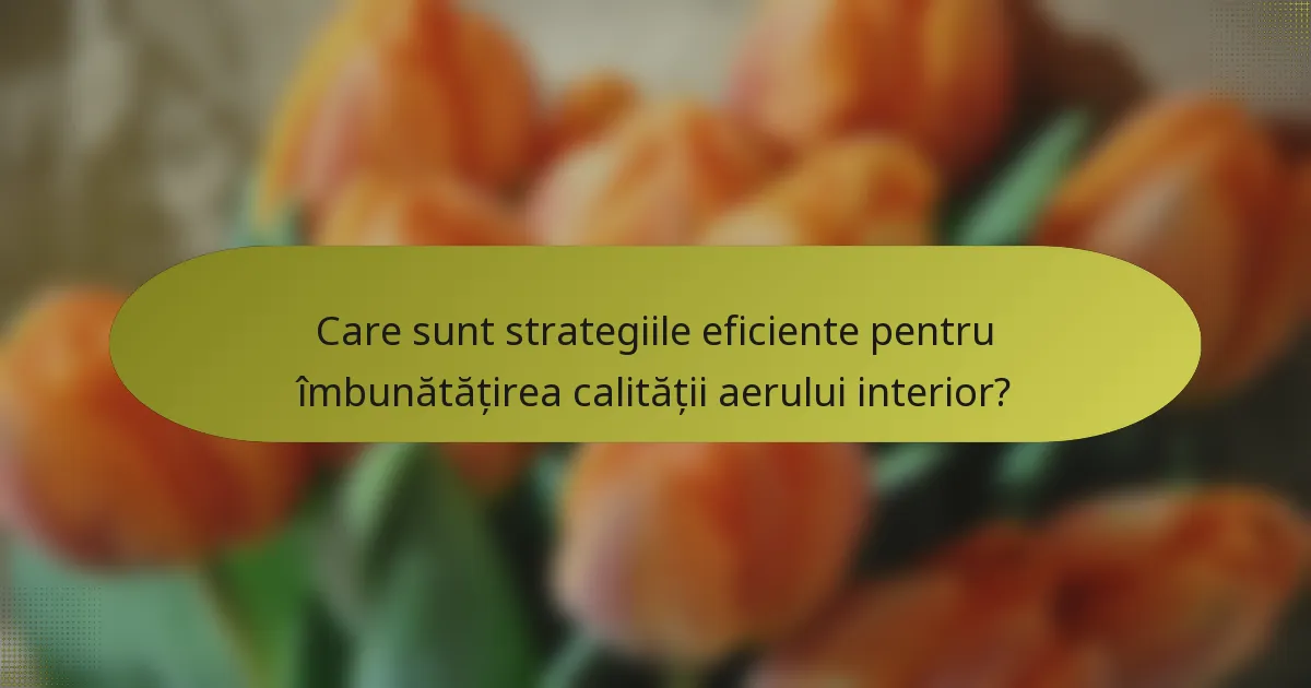 Care sunt strategiile eficiente pentru îmbunătățirea calității aerului interior?