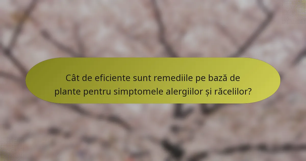 Cât de eficiente sunt remediile pe bază de plante pentru simptomele alergiilor și răcelilor?