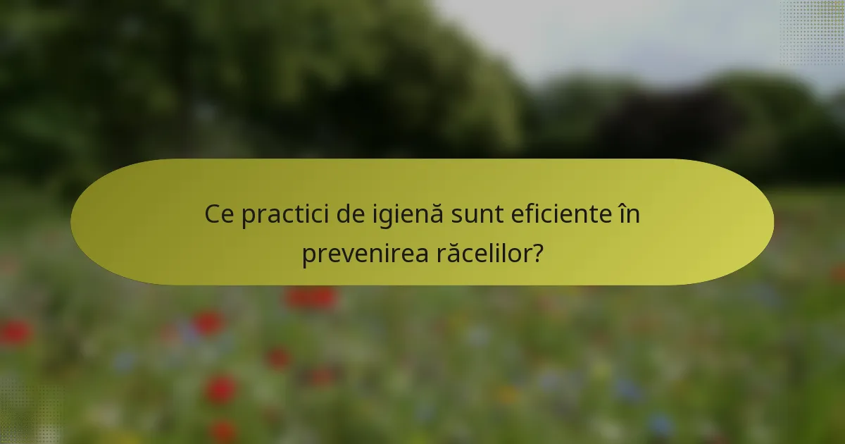 Ce practici de igienă sunt eficiente în prevenirea răcelilor?