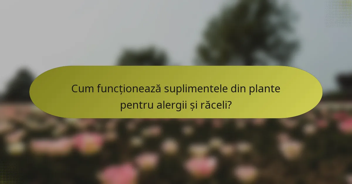 Cum funcționează suplimentele din plante pentru alergii și răceli?
